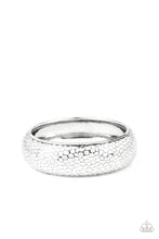 Load image into Gallery viewer, Urban Wildlife - Silver Bracelet
