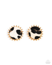 Load image into Gallery viewer, Cowhide Couture - Brown Post Earrings