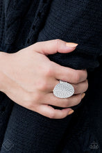 Load image into Gallery viewer, Brave the Elements - Silver Ring