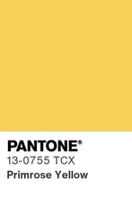 Load image into Gallery viewer, Aesthetic Assortment - Yellow Earrings