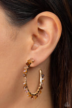 Load image into Gallery viewer, Halo Hustle - Brown Hoop Earrings