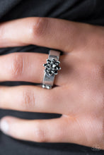 Load image into Gallery viewer, Autumn Gardens - Silver Ring