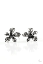 Load image into Gallery viewer, Diva Daisy - Black Post Earrings