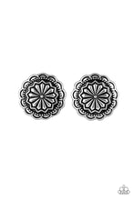 Load image into Gallery viewer, Durango Desert - Silver Post Earrings