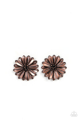 Daisy Dilemma - Copper Post Earrings