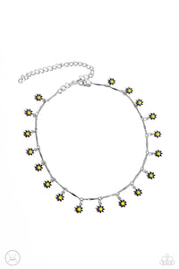 Delicate Display - Black Choker Necklace